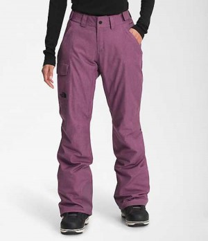 The North Face Freedom Kadın Snowboard Pantolonu Mor | 6209137-CS