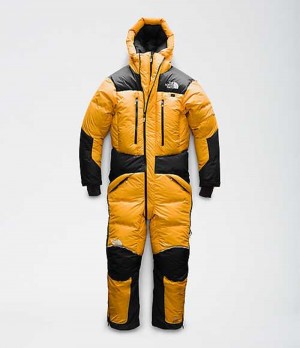 The North Face Himalayan Erkek Snowboard Pantolonu Altın Siyah | 2503694-QW